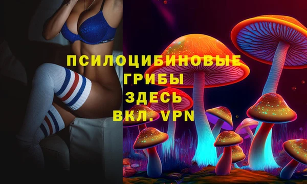 бошки Балахна